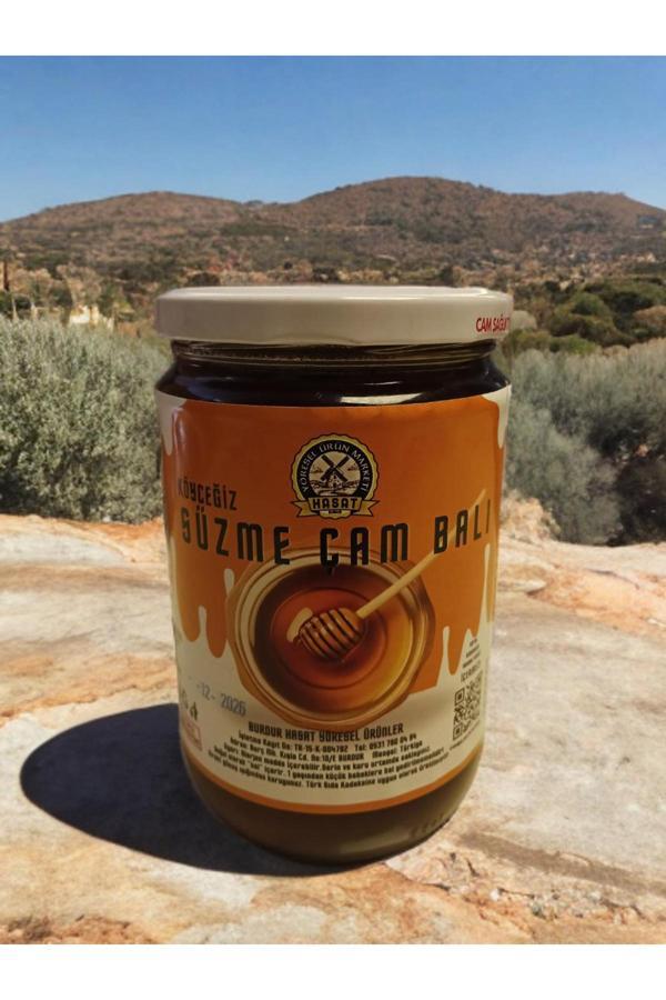 850 Gr Köyceğiz Doğal Çam Balı - Image 1