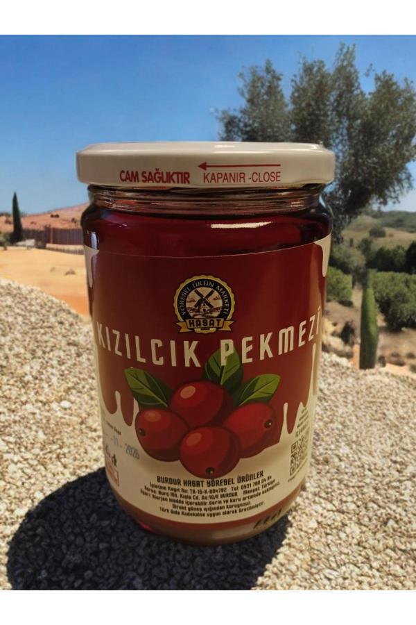 850 ml Doğal Kızılcık Pekmezi - Image 1