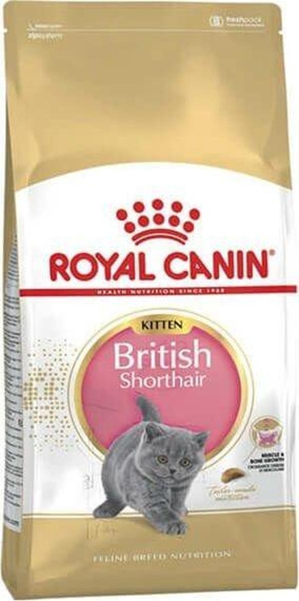 Royal Canin British Shorthair Kitten Yavru Kedi Maması 2 Kg - KONG - Image 1