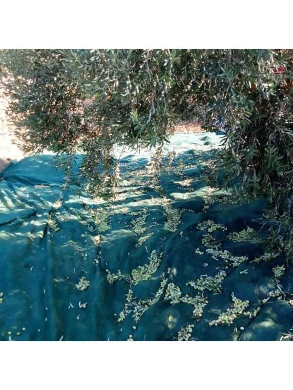 Titanium Zeytin Toplama Filesi 75'Lik 6*8 Metre Gölgelik File - Yeşil - Sergenlik - Zeytin Sergisi - Zeytin Yaygısı - Image 1