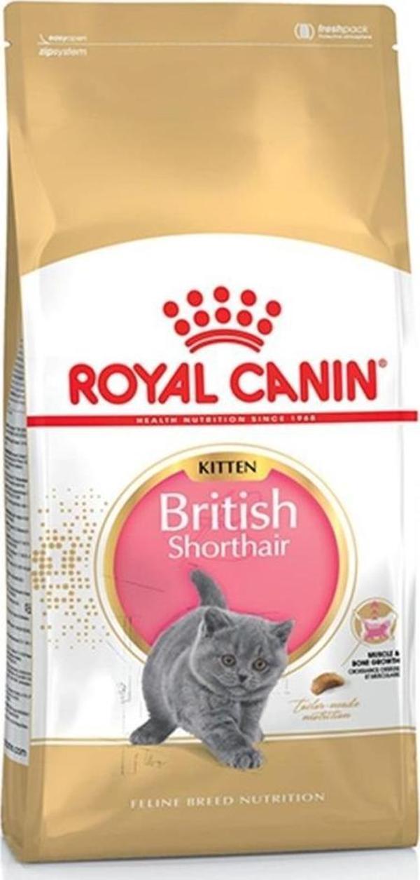 Royal Canin Kitten British Shorthair Yavru Kedi Maması 2Kg - Image 1