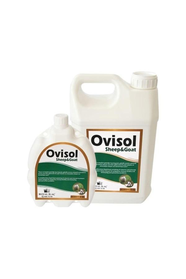 Royal İlaç Ovisol Sheep&Goat 5 Lt - Image 1
