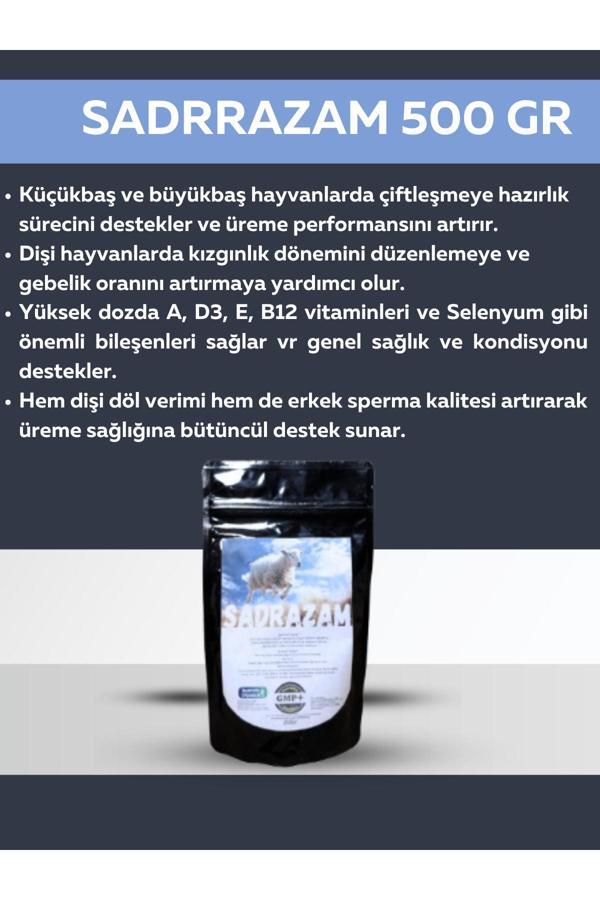 Sosyete Çoban Kızgınlık İçin Birebir Sadrazam (500 Gram) - Image 1