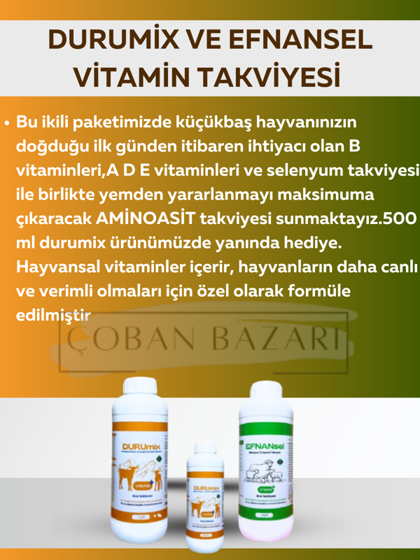 Durumix 1 Litre Vitamin Takviyesi Efnansel 1 Litre Vitamin Takviyesi (500 Ml Hediye) - Image 1
