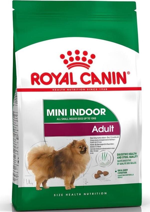 Royal Canin Mini İndoor Adult Köpek Maması 1,5 Kg - KONG - Image 1