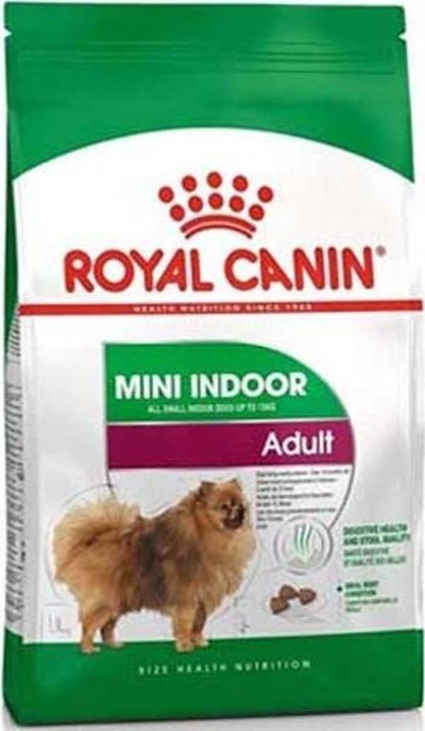 Royal Canin Mini İndoor Adult Yetişkin Köpek Maması 1,5 Kg - KONG - Image 1