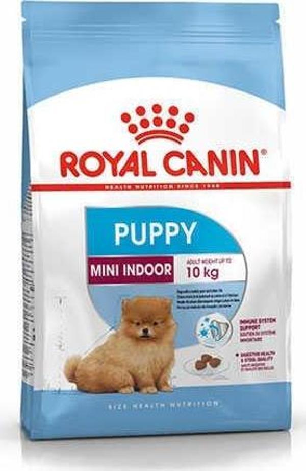 Royal Canin Mini İndoor Puppy Yavru Köpek Maması 1,5 Kg-KONG - Image 1