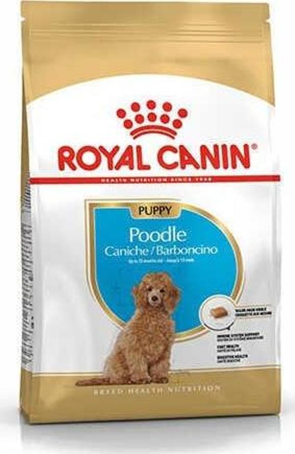 Royal Canin Poodle Junior Yavru Köpek Maması 3 Kg - KONG - Image 1