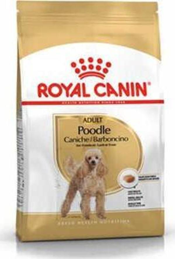Royal Canin Poodle Yetişkin Köpek Maması 3 Kg - KONG - Image 1