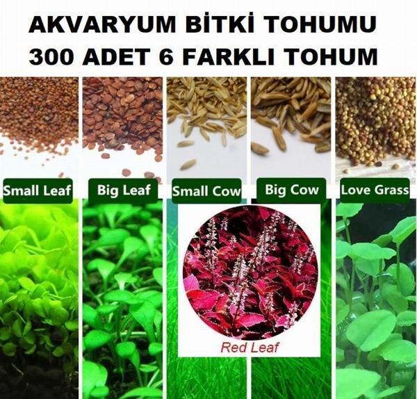 300 Adet 6 Farklı Akvaryum Bitkisi Tohumu + 10 Adet Karışık Gül Tohumu (KARGO BEDAVA) - Image 1