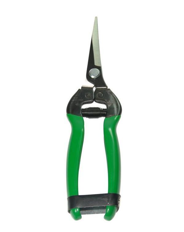 Eltu 429E5 - Düz Bıçak NarenciyeMakası 184 mm - Image 1