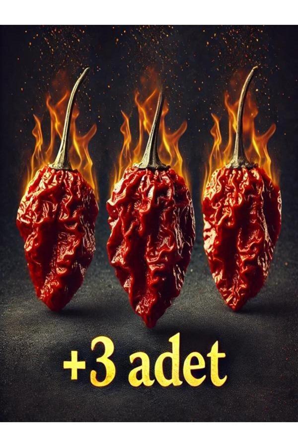 Tohumcu Kikizade 3 Adet Trinidad Moruga Scorpion Biberi Dünyanın En Acı 2.Nci Biberi - Image 1