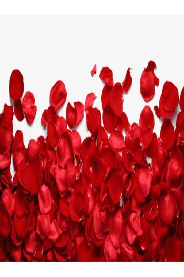 Tohumcu Kikizade +250 Adet Kırmızı Gül Yaprağı - Image 1