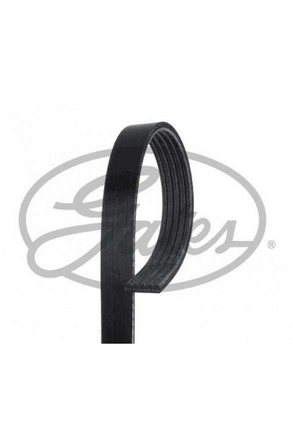 Gates Kanallı Kayış Audı A6-A8-Logan-Hyundaı-Pajero-Almera-Mıcra-Clıo Iı-Iıı-Kng 1.5 Dcı-Mgn Iı-Mod Rszyn - Image 1