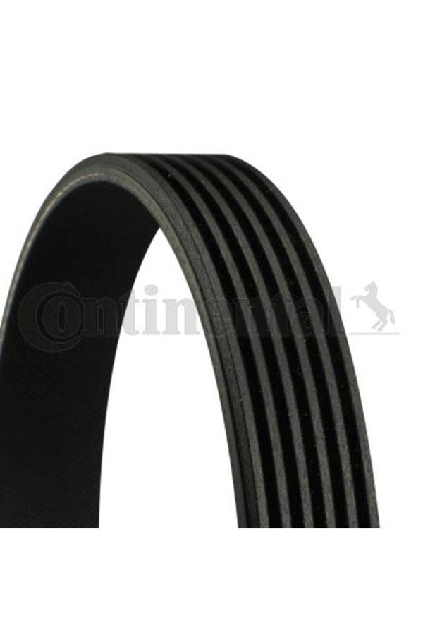 Contitech Kanallı V Kayısı Fıat Doblo 01> 1.9 Jtd Renault Logan 04> Laguna Iı 01> 1.6 16V Toyota - Image 1
