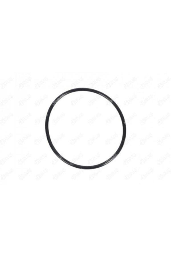 Ibras Yakıt Pompa Contası Vectra B 1.6-1.8-2.0 96-02 - Image 1