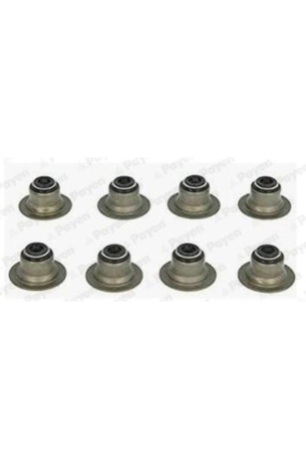 Payen Subap Lastiği Set Rover 200 220Gsi 220T 420 620 820 2.0 Dıscovery 2.0 93-98 - Image 1