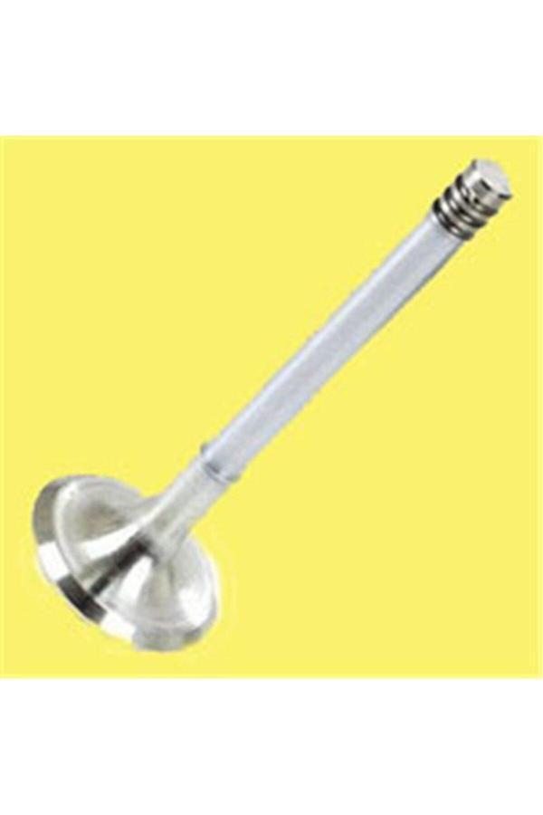 Çeşitli Gunes 6026-6027 Emme Eksoz Subap Takım Polo-Golf4-5-Jetta-Passat-Tıguan Ahw-Bby-Bky-Bag-Blf - Image 1