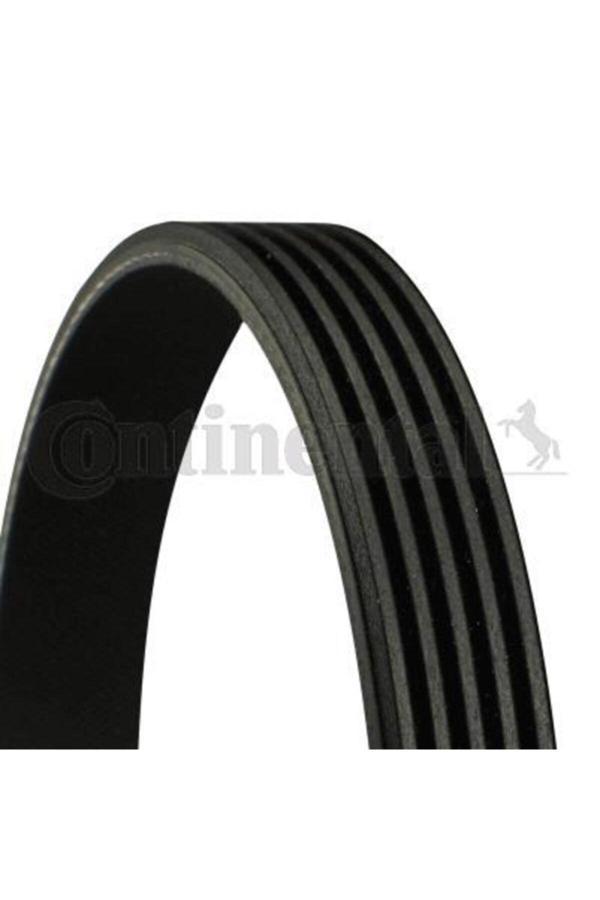 Contitech Kanallı Kayıs Palıo Weekend -Albea 1.4 5Pk955 Oem - Image 1