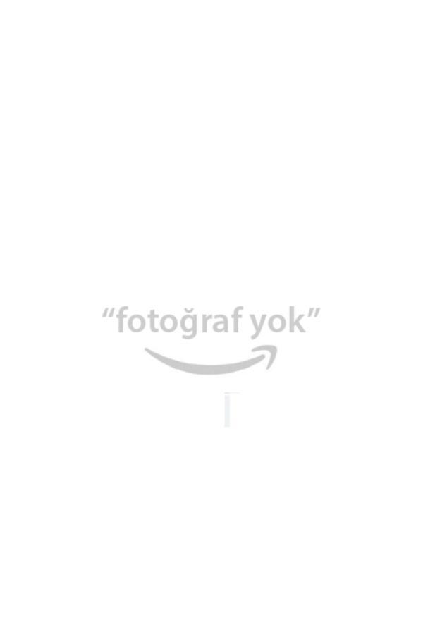 Trw Salıncak Sağ Dacıa Logan 04 Sandero 08 Sandero Iı 12 - Image 1