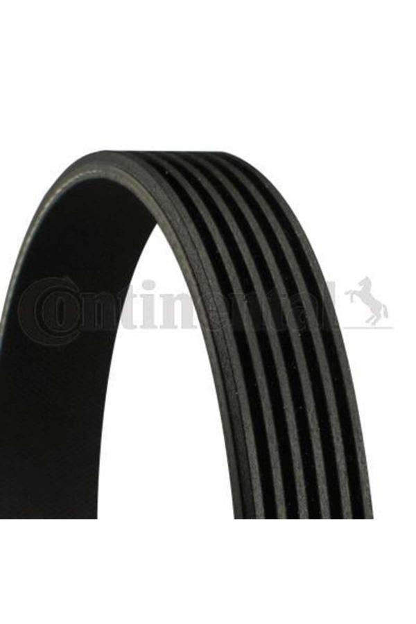 Contitech Kanallı Kayış Ducato-Jumper 2.2 Hdi 06 > Transit Tourneo 2.2 Tdci 06 > - Image 1