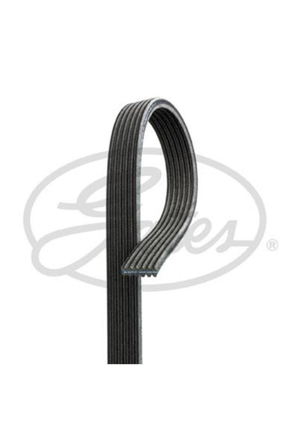 Gates Kanallı Kayış Vw Caddy 1.9Tdı Sdı 8V 04 2.0Tdı 8V 07 Transporter T5 1.9Tdı 8V 03-09 038903137S - Image 1