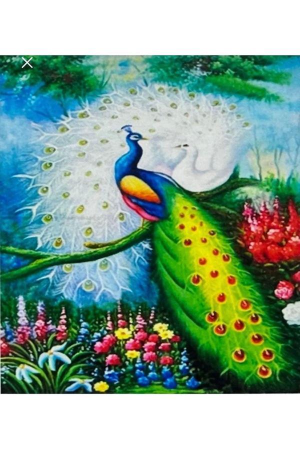 Trendhobievi Hı Stone 5D Elmas Boncuk Taş Işleme Mozaik Goblen Kit 50X40Cm - Image 1