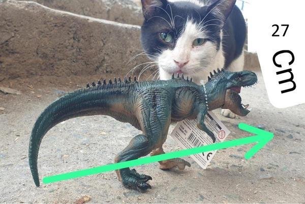 Hepsilazım Jurassic World Figür Dinazor Trex Oyuncak 27 Cm Hareketli Ağız Dinozor Figür - Image 1