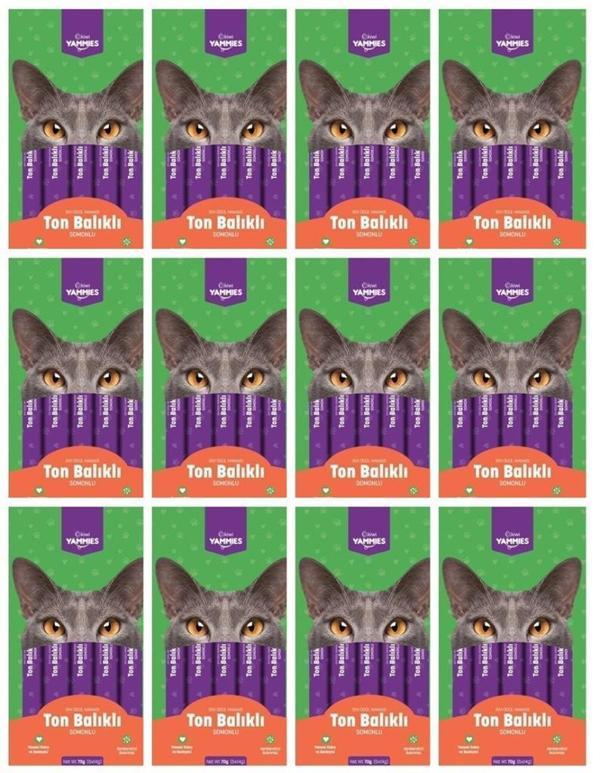 Kiwi Yammies Ton Balıklı - Somonlu Sıvı Kedi Ödül Maması * 12 Paket - Image 1