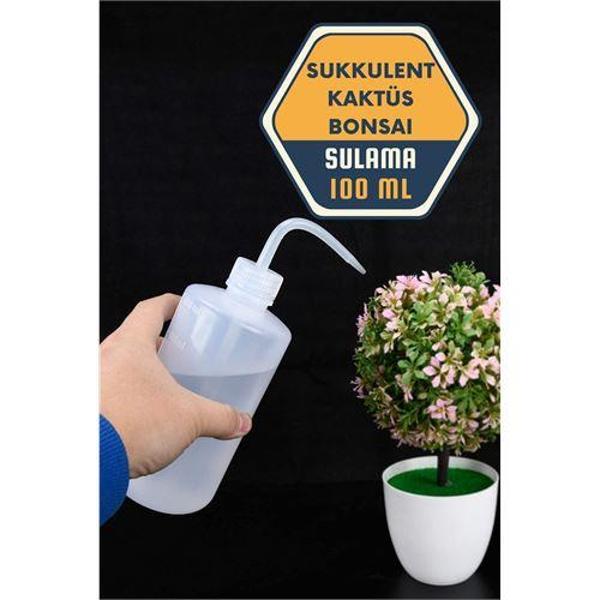 Sukkulent Kaktüs Bonsai Sulama Şişesi - Image 1