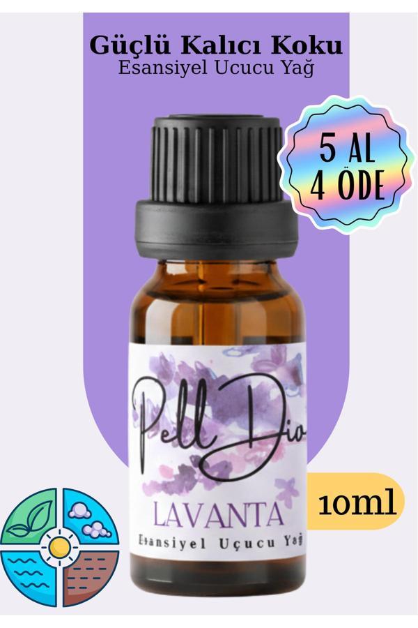 Pelldio Home Lavanta Esansiyel Uçucu Yağ, Buhurdanlık Yağı, Difüzör Esansı, Oda Kokusu 10Ml - Image 1