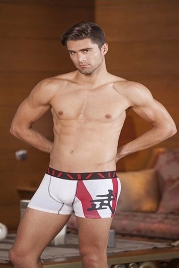 Berrak Modal Baskılı Boxer 1117 - Image 1