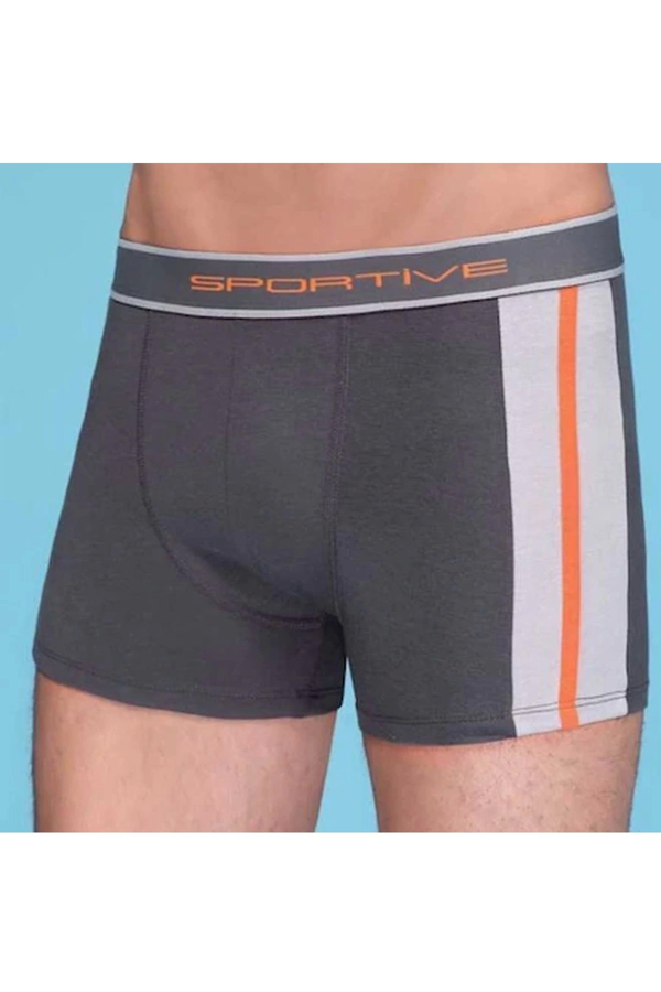 Erkek  Modal Boxer 1080 - Image 1