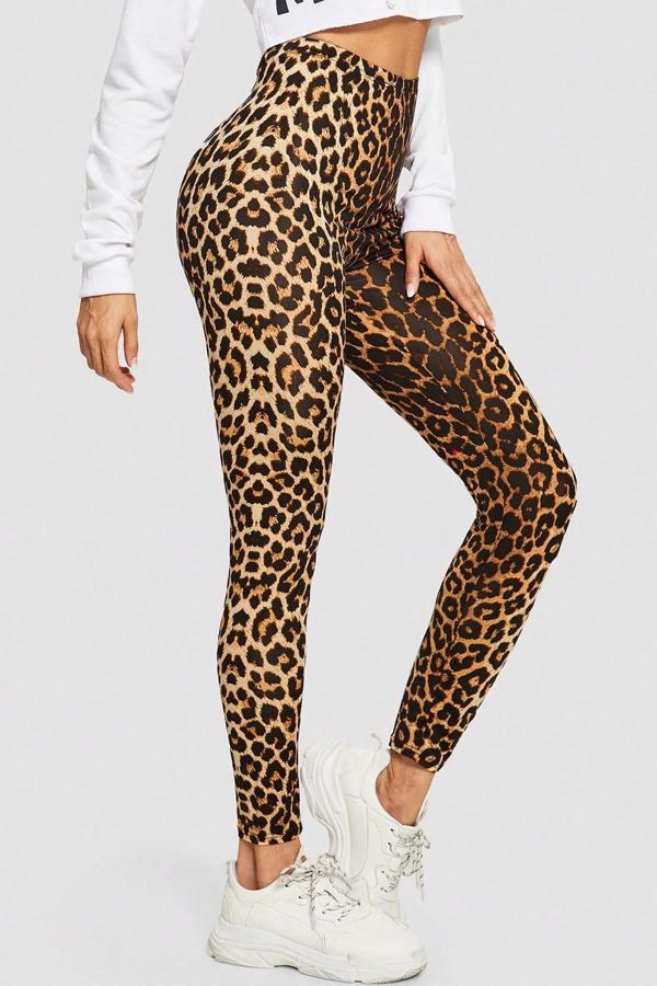Kadın Leopar Desenli Yüksek Bel Dar Kesim Esnek Tayt - Image 1