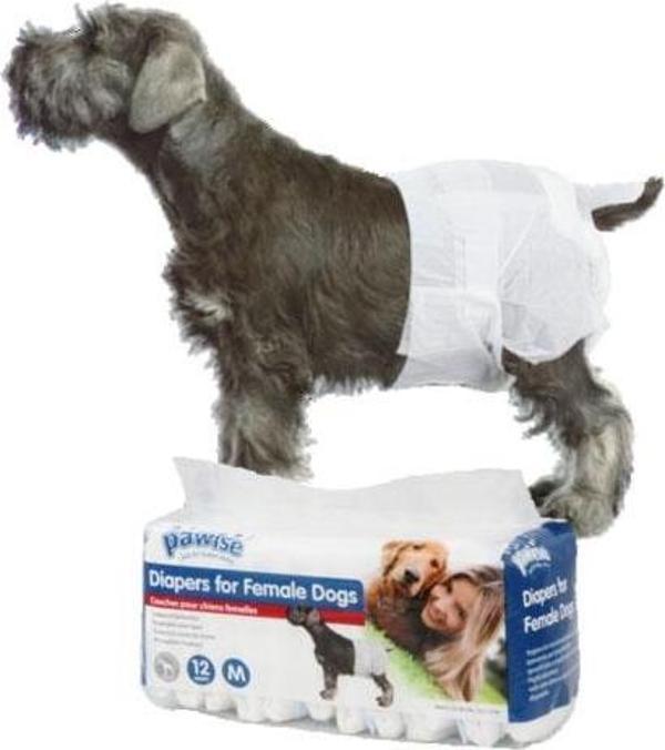 Pawise Köpek Alt Bağlama Bezi XL Boy 12 Adet - Image 1