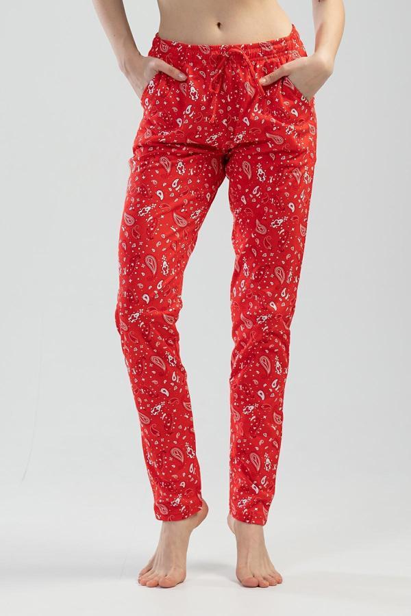 K111461 Vienetta - Image 1