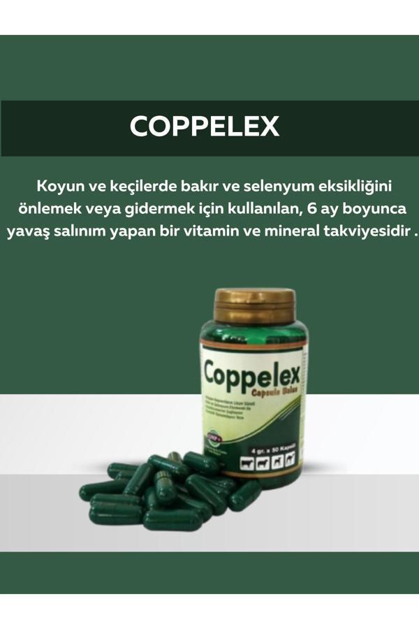 Coppolex Capsule Bolus 50 Kapsül Bakır Ve Selenyum Bolusu - Image 1