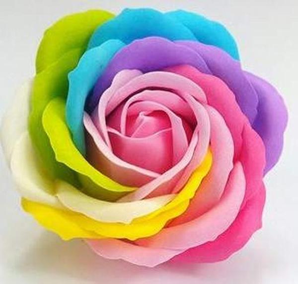 DAY GARDEN 10 ADET GÖKKUŞAĞI ÇİN GÜLÜ TOHUMU +10 ADET HEDİYE KARIŞIK LALE ÇİÇEK TOHUMU - Image 1