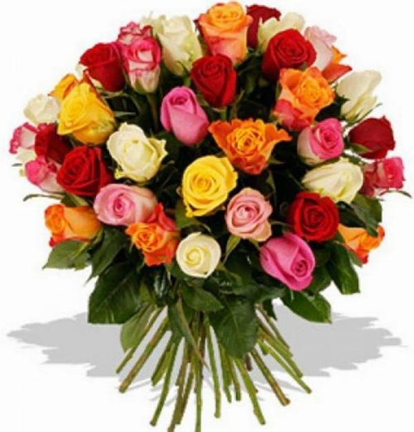 DAY GARDEN 25 ADET KARIŞIK RENK GÜL ÇİÇEĞİ TOHUMU + 10 ADET HEDİYE KARIŞIK LALE ÇİÇEK TOHUMU - Image 1