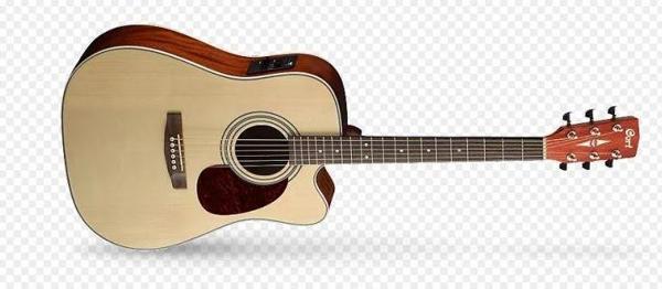 CORT MR500EOP - Image 1