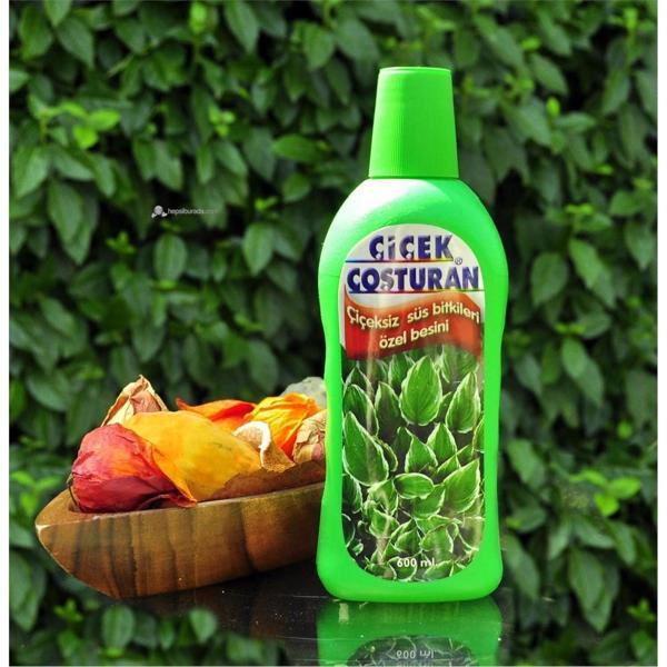 Çiçek Coşturan Çiçeksiz Süs Bitkileri İçin - Image 1