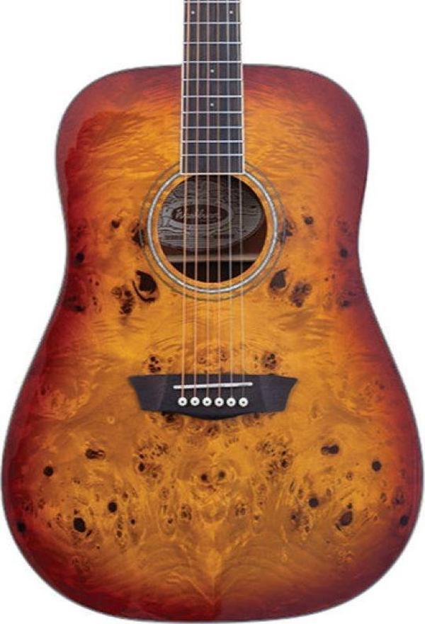 Washburn Deep Forest Burl Amber Fade Akustik Gitar - Image 1