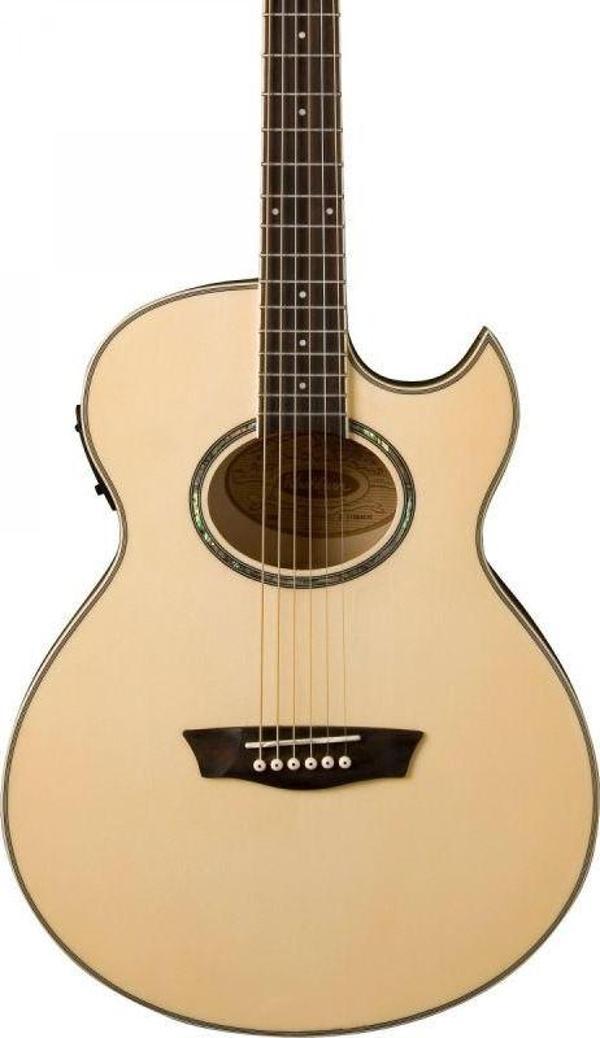 Washburn EA20 Elektro Akustik Gitar - Image 1