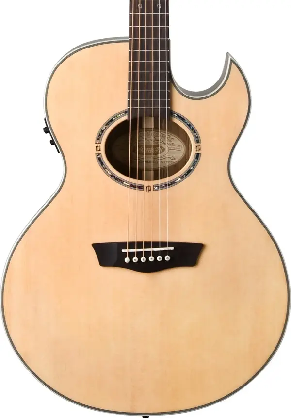 Washburn EA20S Nuno Bettencourt Signature Elektro Akustik Gitar - Image 1