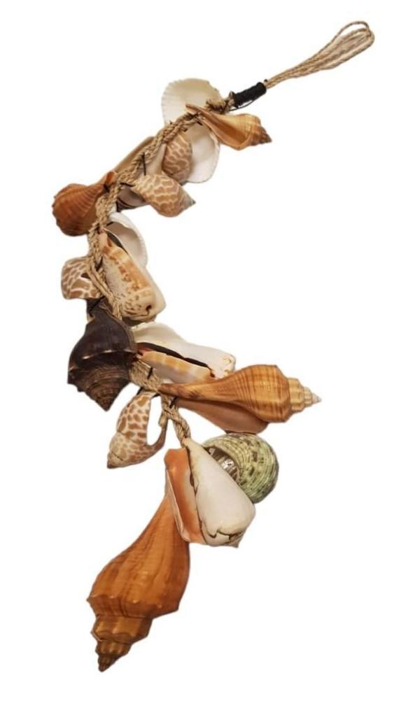 Deniz Kabuğu Sarkıt - Image 1