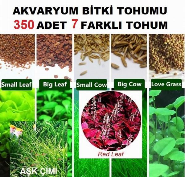 350 Adet 7 Farklı Akvaryum Bitkisi Tohumu + 10 Adet Karışık Gül Tohumu KARGO BEDAVA - Image 1
