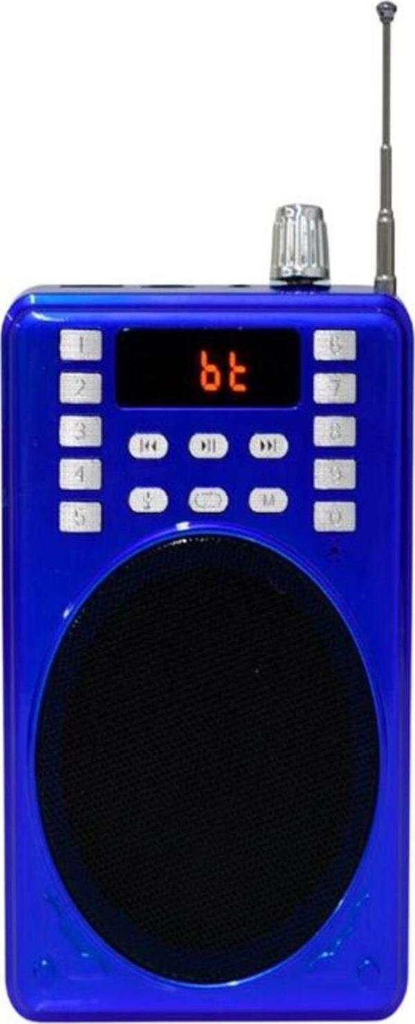 Bayındır Elektronik Mikrofonlu Rehber Öğretmen Amfisi Megafon Hoparlör - Image 1