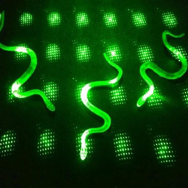 MDB Yılan Kırkayak Şaka Oyuncağı 36 Adet - Image 1