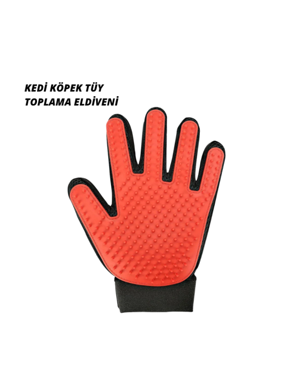 Kedi ve Köpek Tüy Toplama Masaj Eldiveni - Image 1