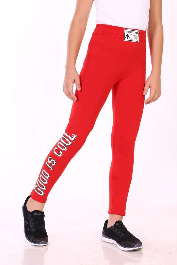 Toontoy Kız Çocuk Baskılı Tayt - Image 1